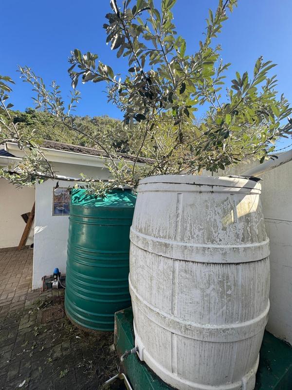 To Let 3 Bedroom Property for Rent in Port Alfred Eastern Cape